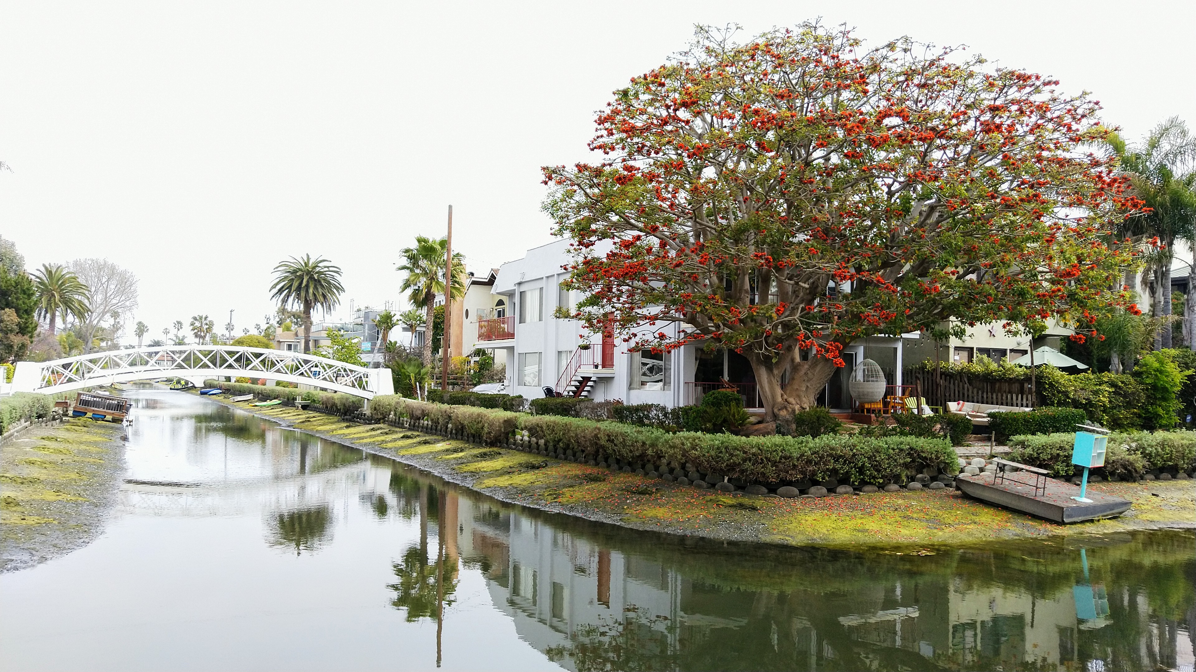 Venice Canal Historic District 照片 3